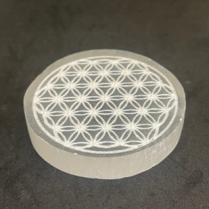 Disque Mini Sélénite Fleur de Vie 5cm